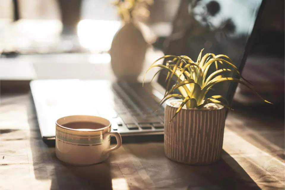 Una tazza di caff&egrave; &egrave; appoggiata su un tavolo, accanto a una pianta in vaso, e sullo sfondo c'&egrave; un computer portatile, il tutto illuminato dalla luce naturale.