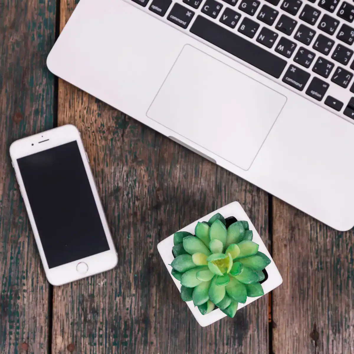 Uno smartphone bianco, una piccola succulenta in vaso e un computer portatile su una superficie di legno consumata dalle intemperie.